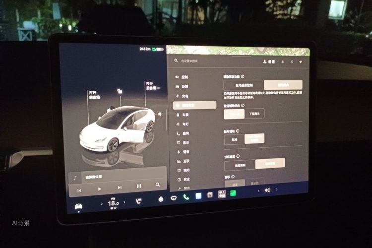 Tesla Model 3 2022 car image #13