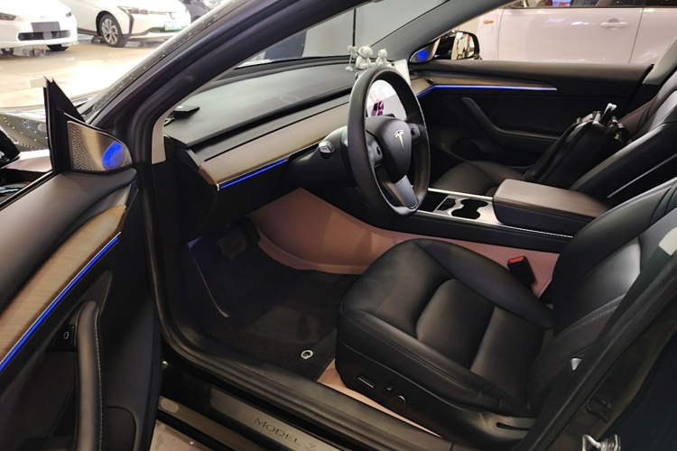 Tesla Model 3 2021 #16 Tesla Model 3 2021 car image #16