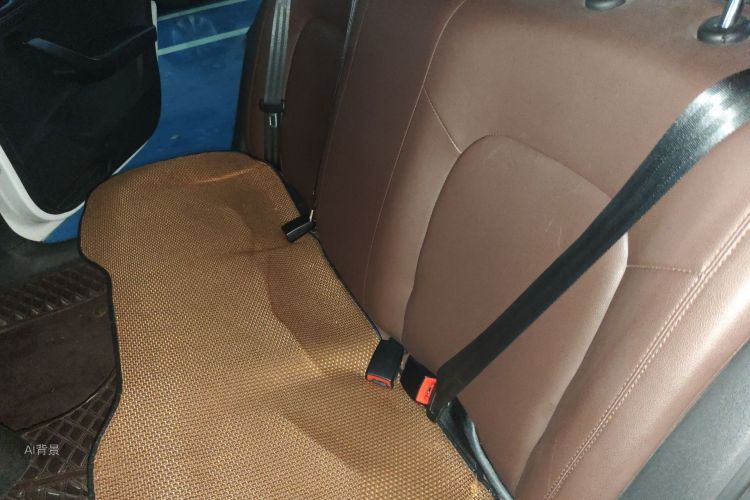 Volkswagen Santana 2019 car image #19