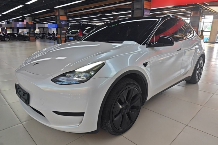 Tesla Model Y 2023 #2 Tesla Model Y 2023 car image #2