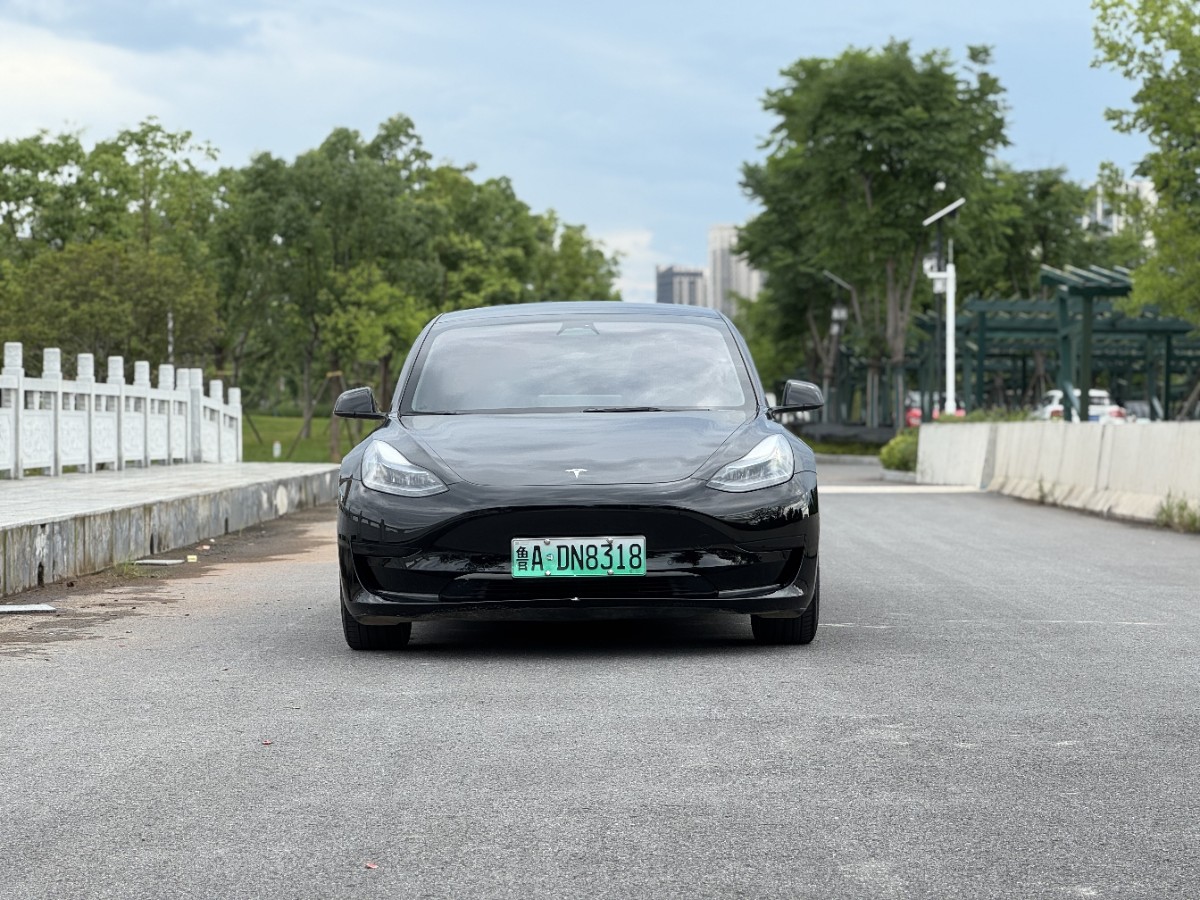 Tesla Model 3 2023 #3 Tesla Model 3 2023 car image #3