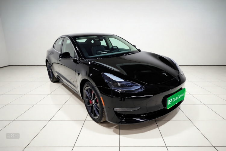 Tesla Model 3 2021 car image #4