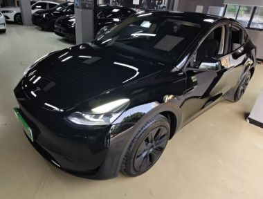 Tesla Model Y 2024 Tesla Model Y 2024 car image