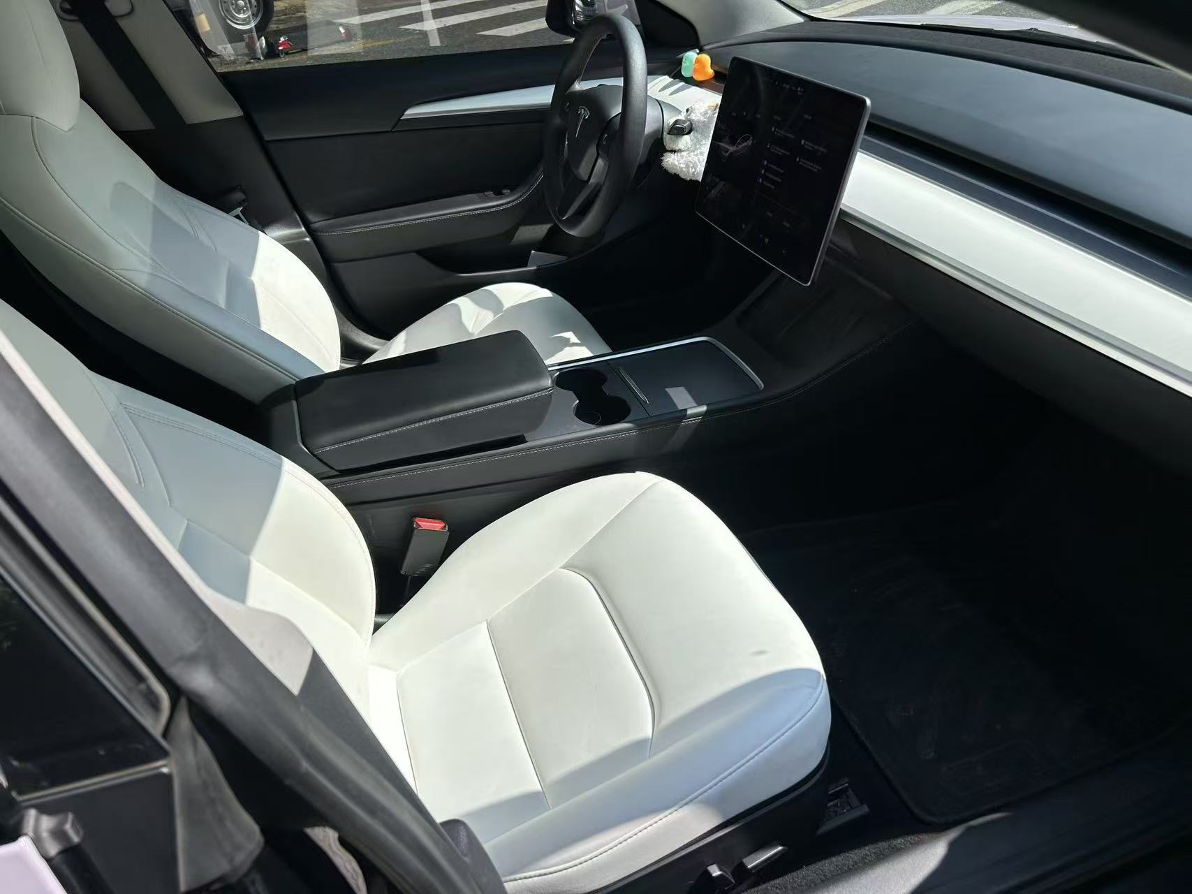 Tesla Model 3 2021 #9 Tesla Model 3 2021 car image #9
