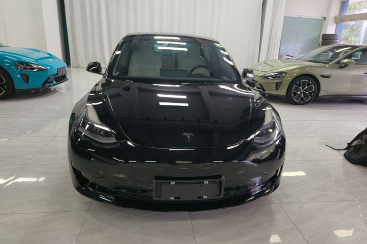 Tesla Model 3 2021 #3 Tesla Model 3 2021 car image #3