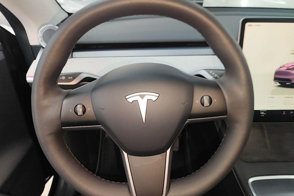 Tesla Model Y 2024 car image #16