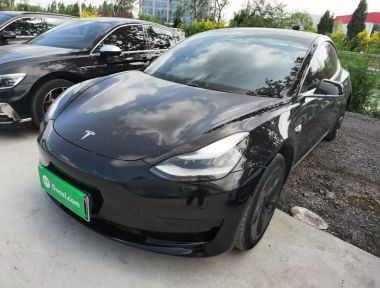 Tesla Model 3 2020 car image 