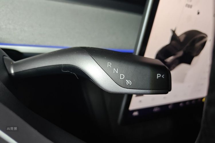 Tesla Model Y 2023 car image #16