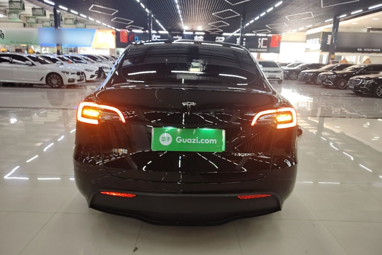 Tesla Model Y 2023 #6 Tesla Model Y 2023 car image #6