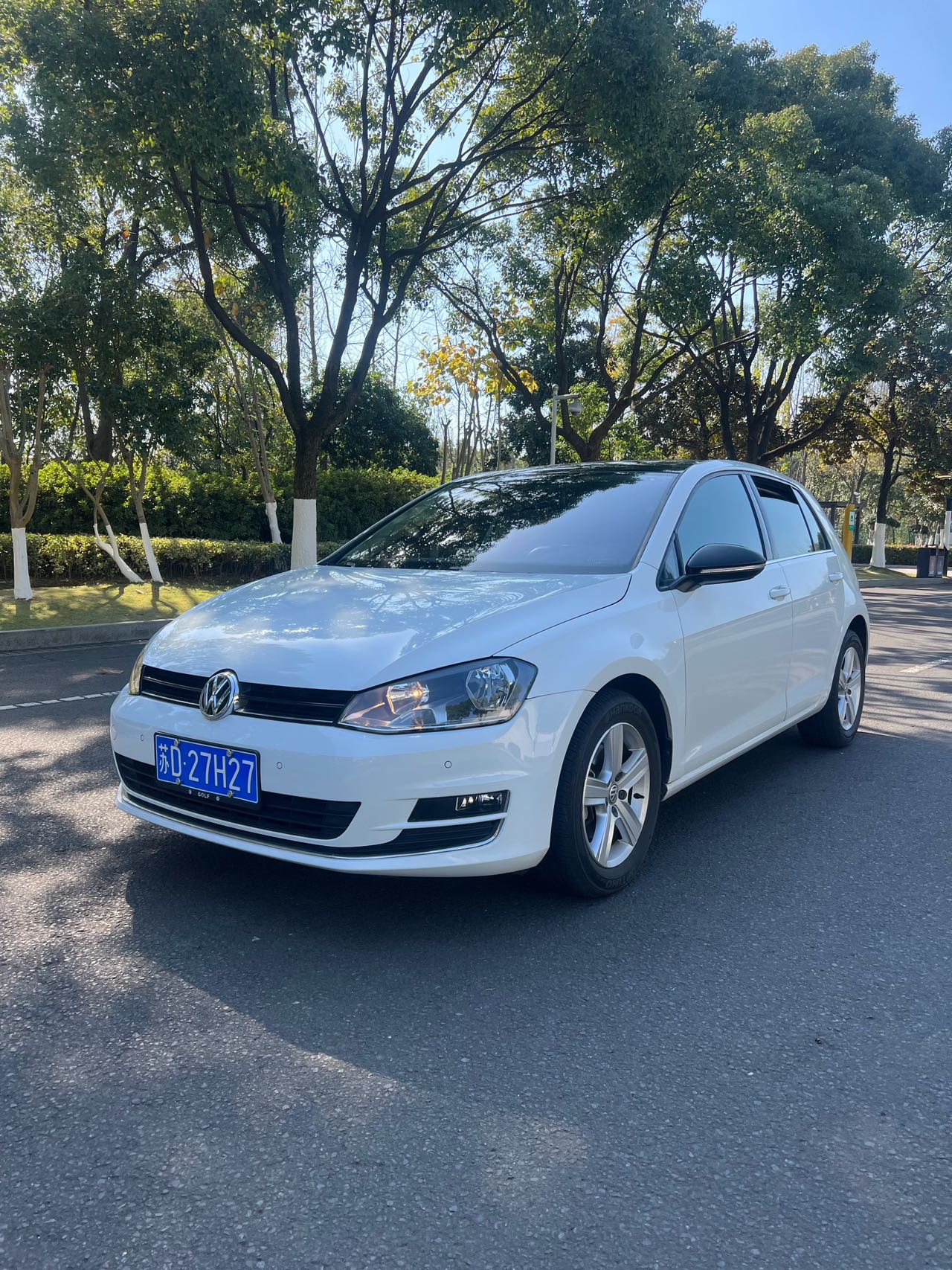 Volkswagen Golf 2017 Volkswagen Golf 2017 car image