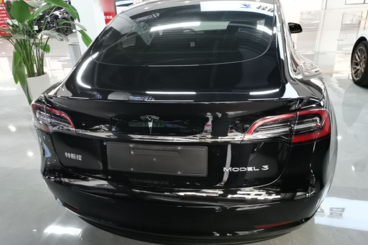 Tesla Model 3 2021 car image #6