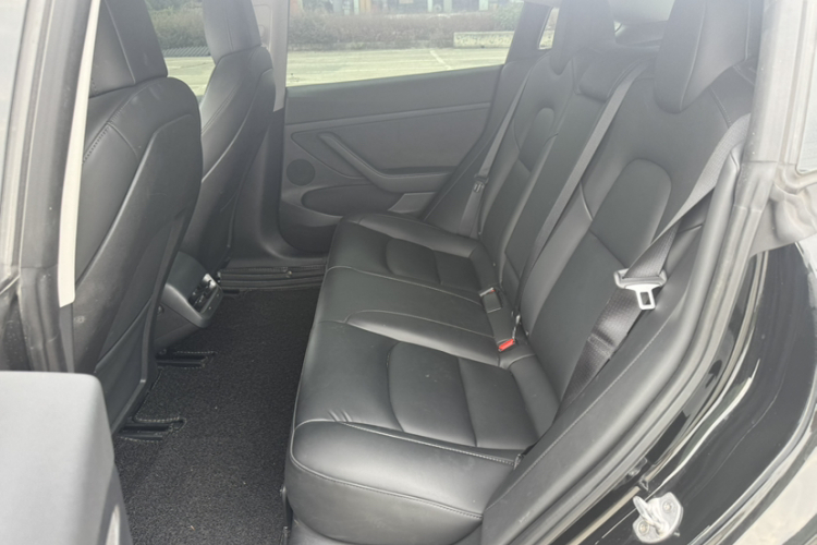 Tesla Model 3 2021 #19 Tesla Model 3 2021 car image #19