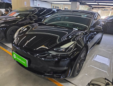 Tesla Model 3 2022 Tesla Model 3 2022 car image