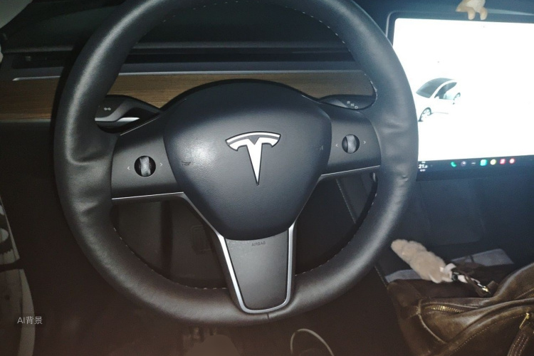 Tesla Model Y 2021 #12 Tesla Model Y 2021 car image #12