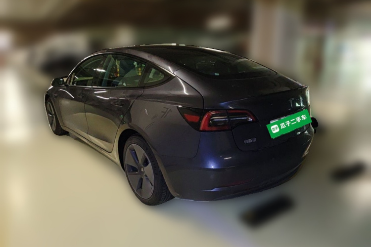 Tesla Model 3 2021 car image #5
