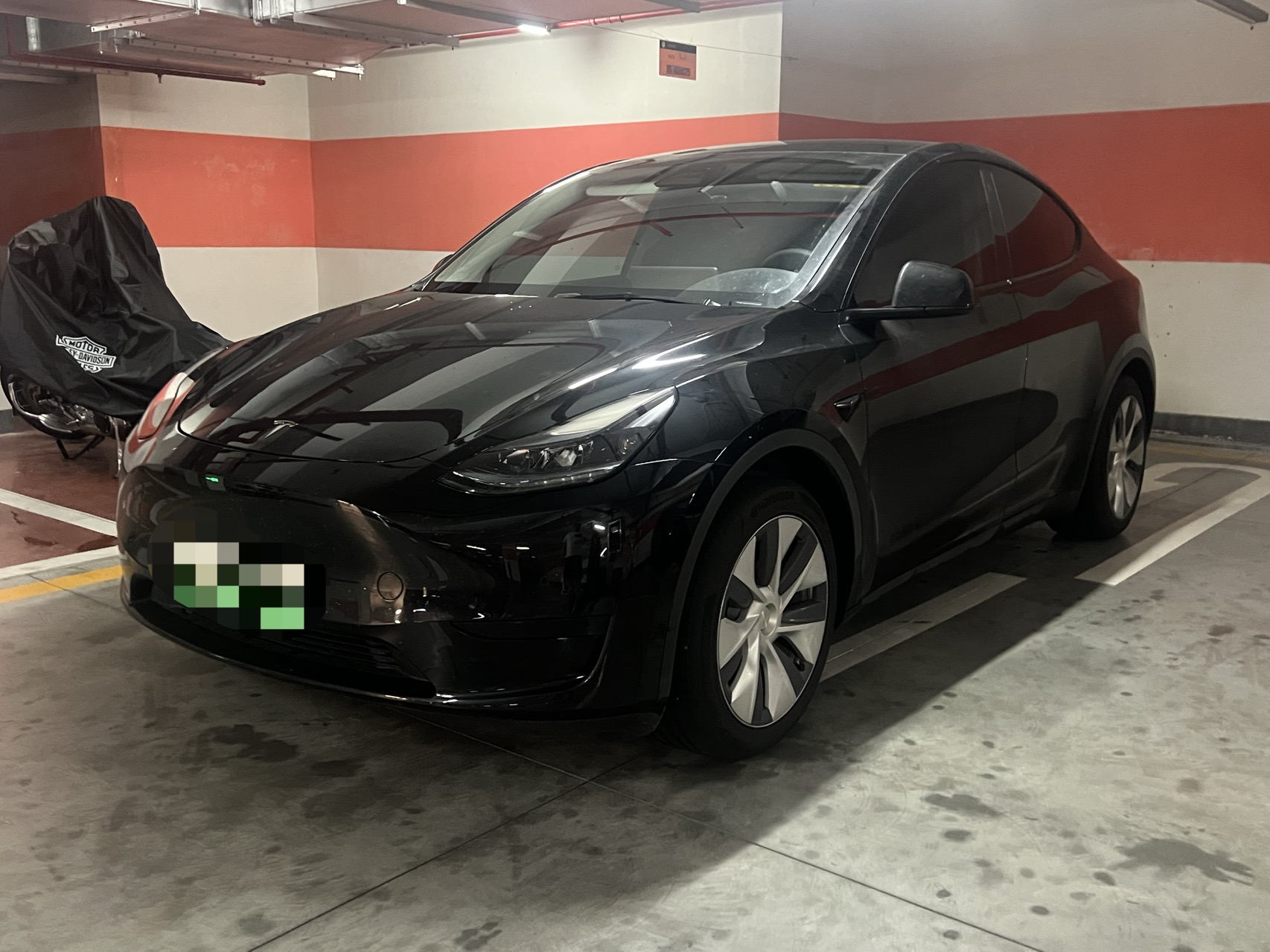 Tesla Model Y 2023 Tesla Model Y 2023 car image