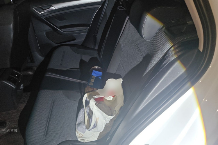 Volkswagen Golf 2019 car image #19