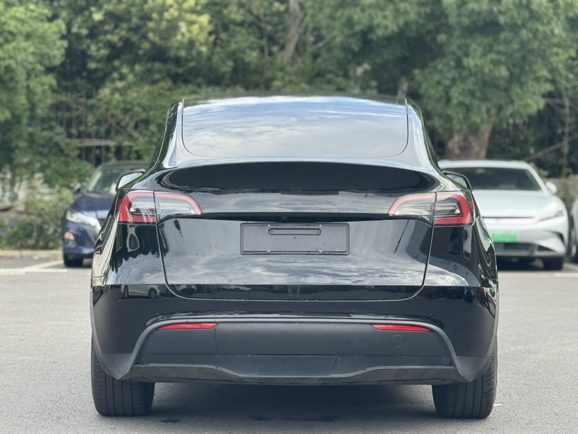 Tesla Model Y 2022 car image #8