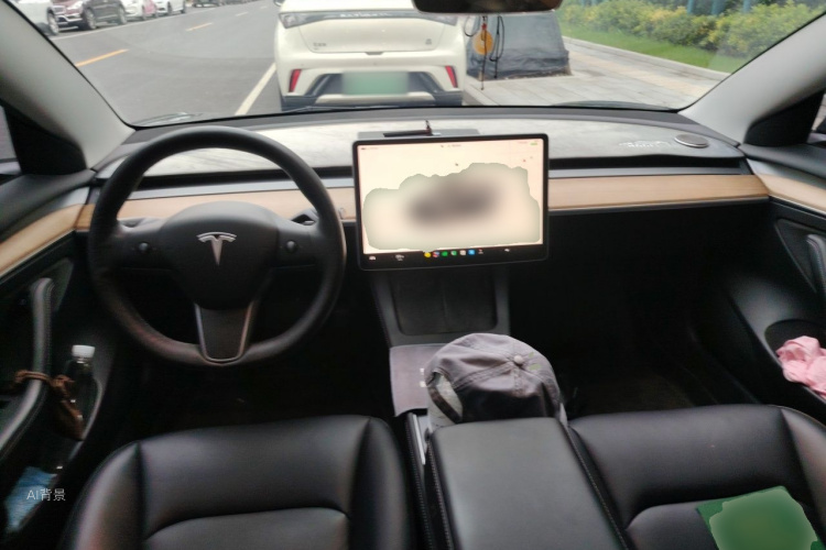 Tesla Model 3 2022 immagine di auto #11