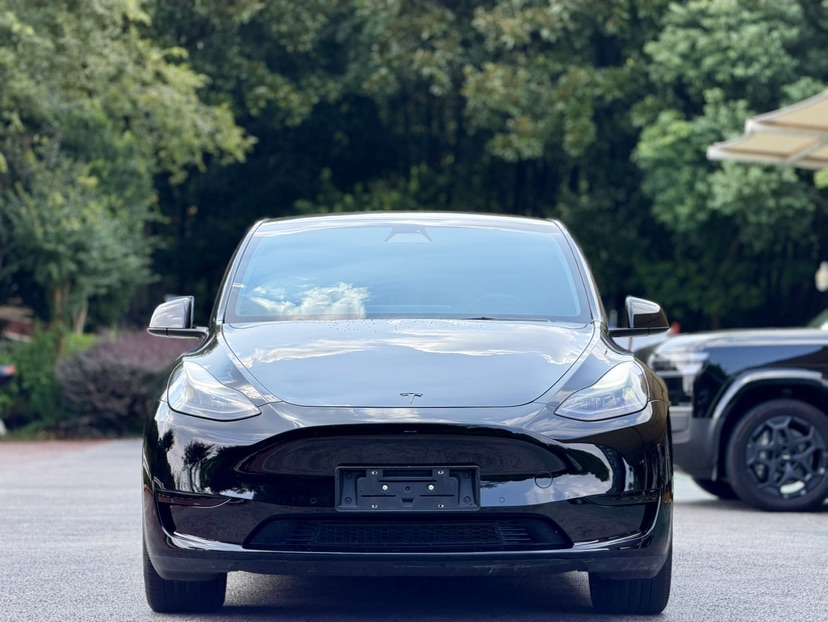 Tesla Model Y 2023 #2 Tesla Model Y 2023 car image #2