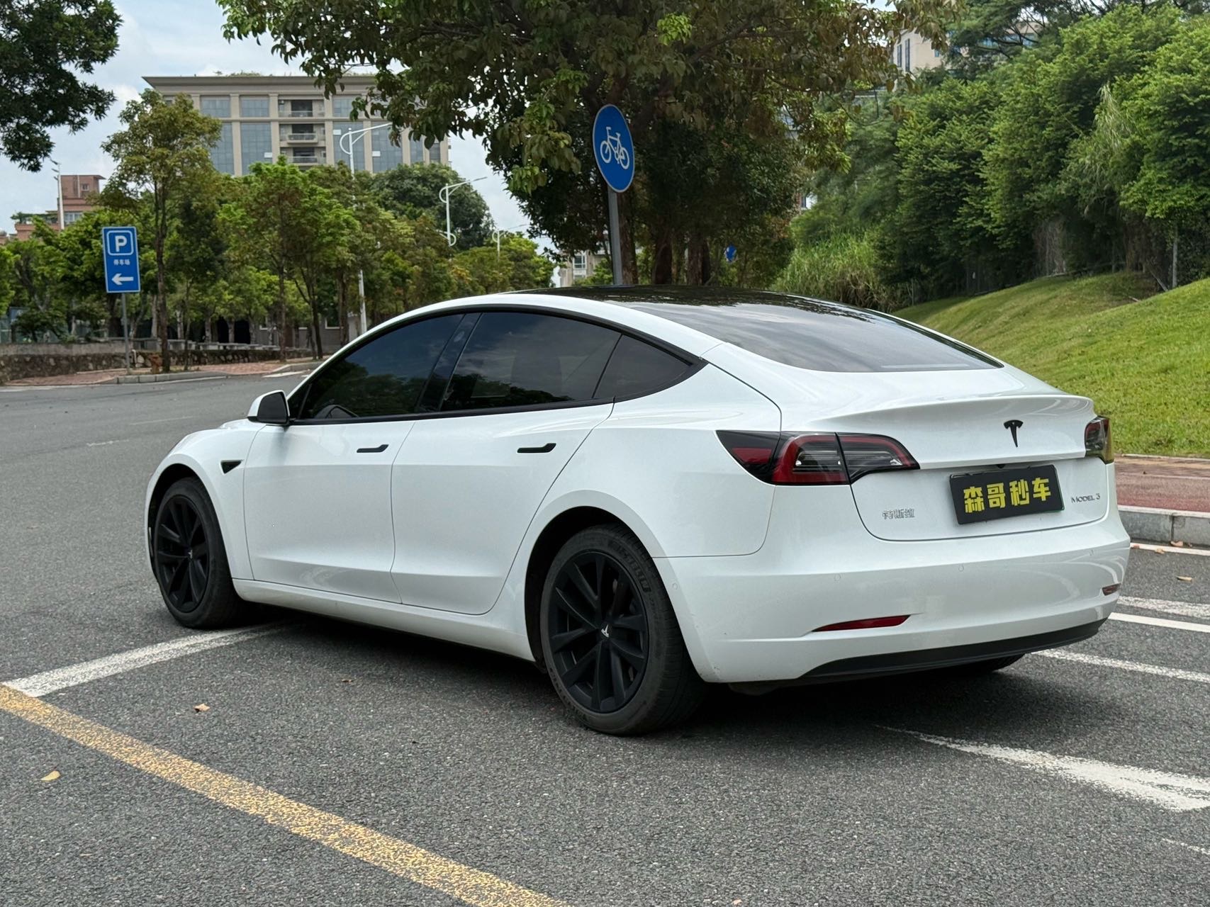 Tesla Model 3 2021 #3 Tesla Model 3 2021 car image #3