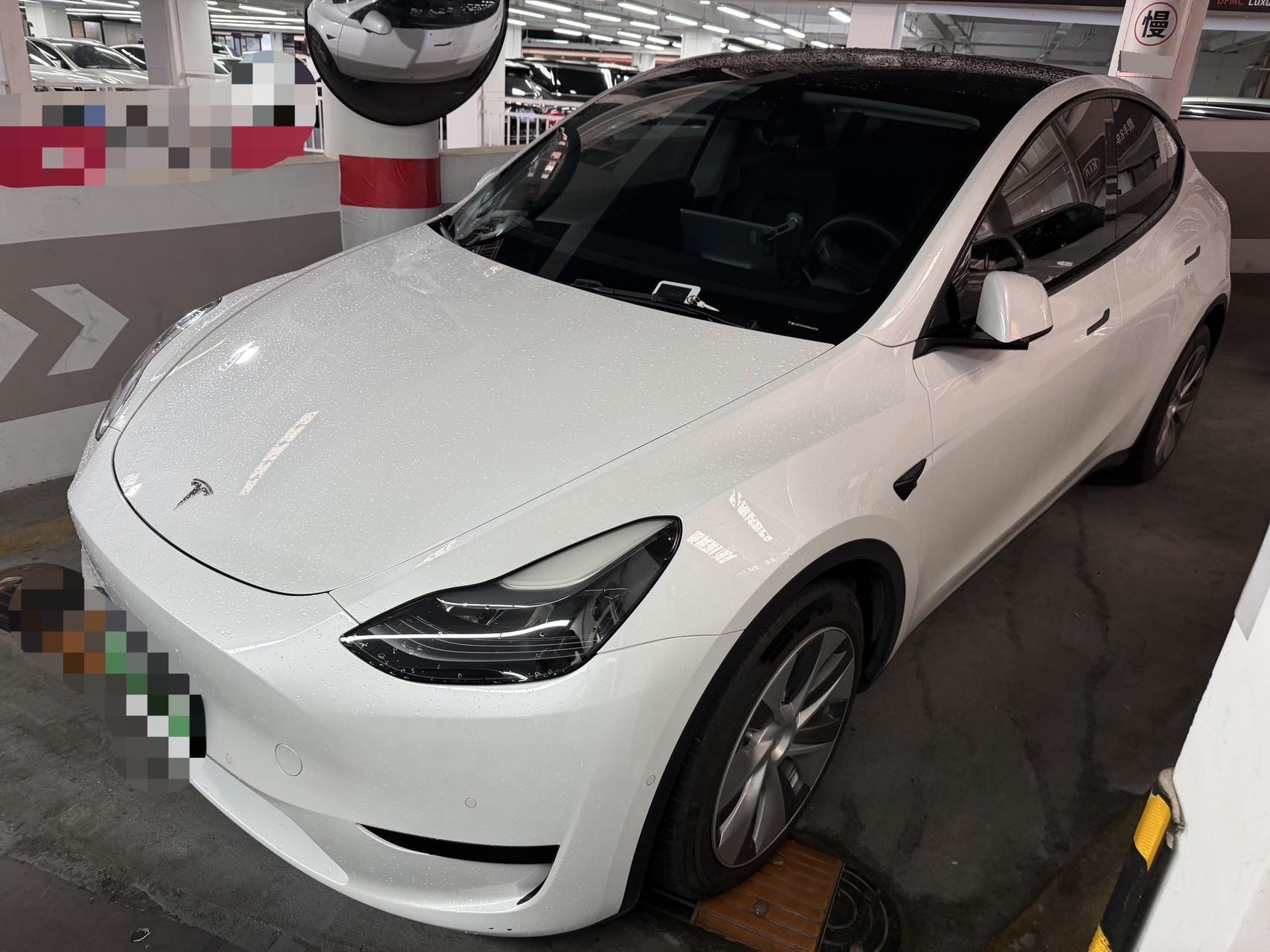 Tesla Model Y 2022 Tesla Model Y 2022 car image