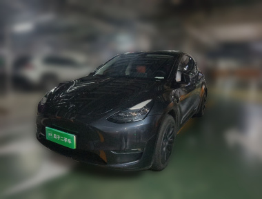 Tesla Model Y 2024 Tesla Model Y 2024 car image