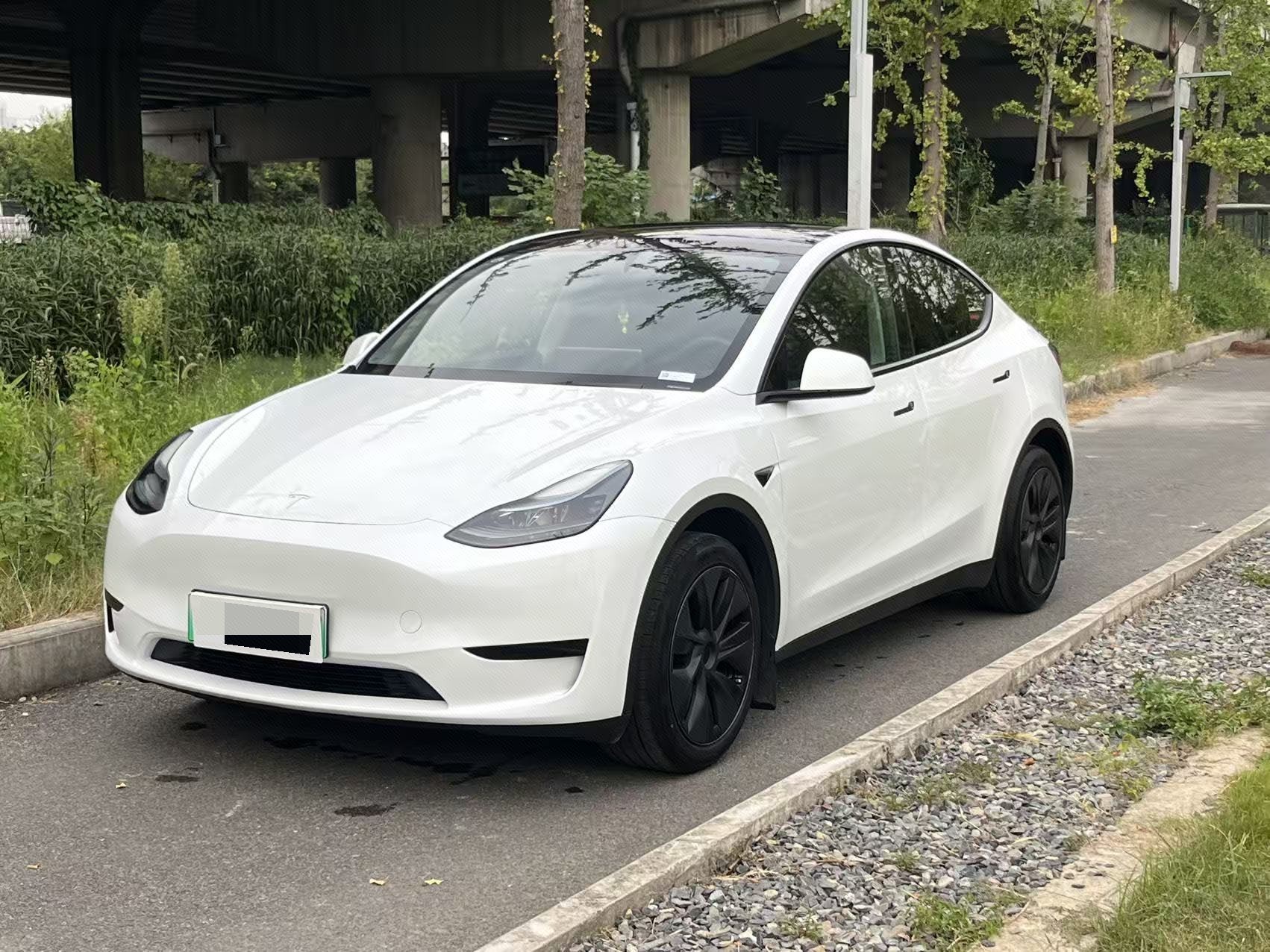 Tesla Model Y 2024 car image 
