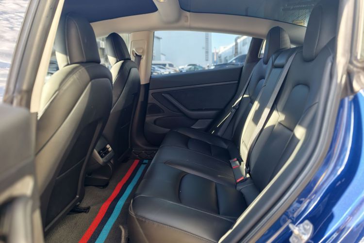 Tesla Model 3 2020 car image #15