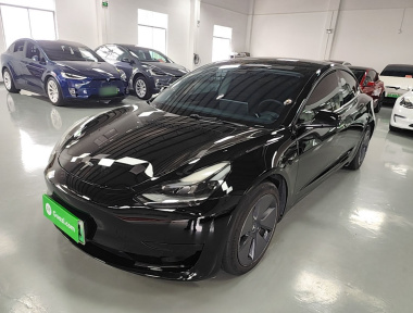 Tesla Model 3 2021 car image 