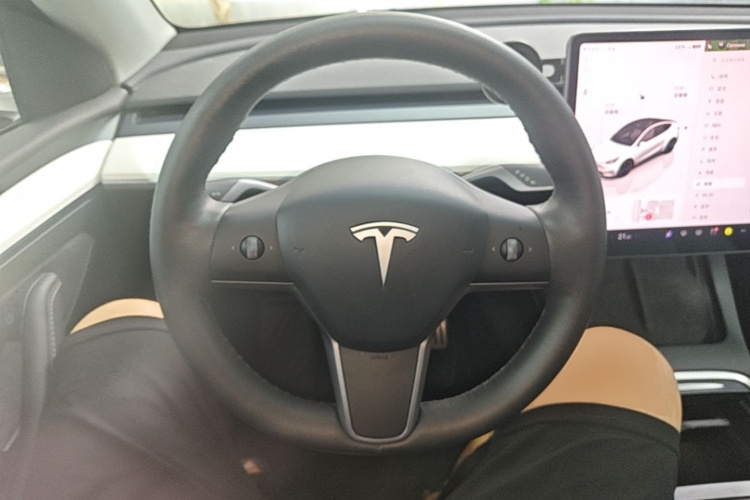 Tesla Model Y 2021 #11 Tesla Model Y 2021 car image #11