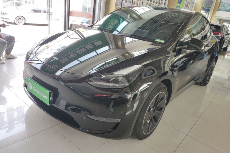 Tesla Model Y 2021 #2 Tesla Model Y 2021 car image #2
