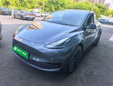 Tesla Model Y 2022 Tesla Model Y 2022 car image