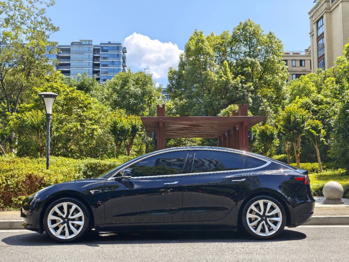 Tesla Model 3 2020 #3 Tesla Model 3 2020 car image #3