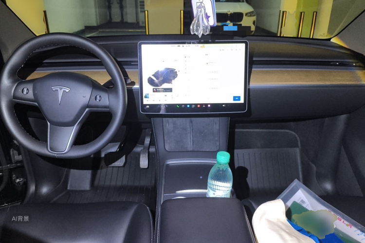 Tesla Model Y 2021 car image #11