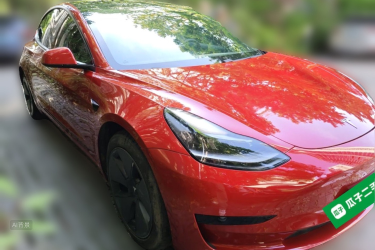 Tesla Model 3 2021 #4 Tesla Model 3 2021 car image #4