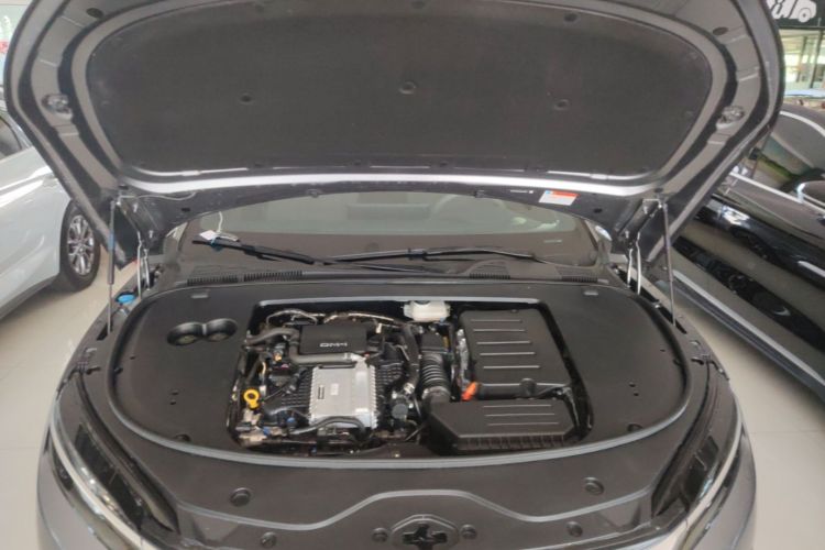 BYD Han 2024 image de voiture #20