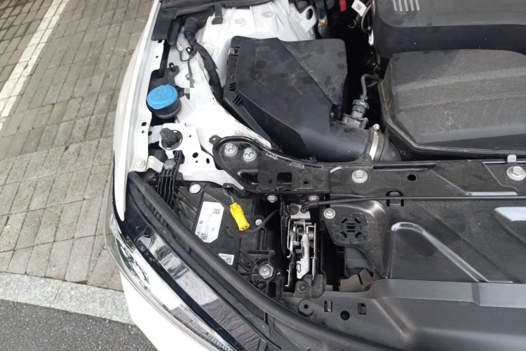 BMW 3 Series 2024 immagine di auto #22