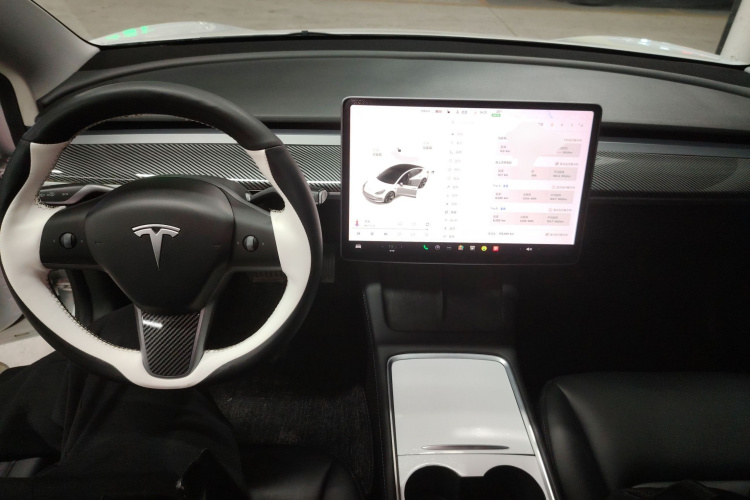 Tesla Model 3 2021 #10 Tesla Model 3 2021 car image #10