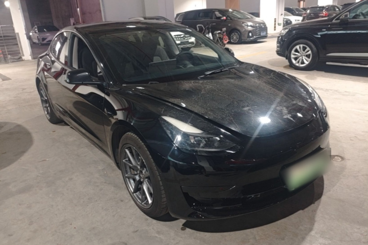 Tesla Model 3 2021 #4 Tesla Model 3 2021 immagine di auto #4