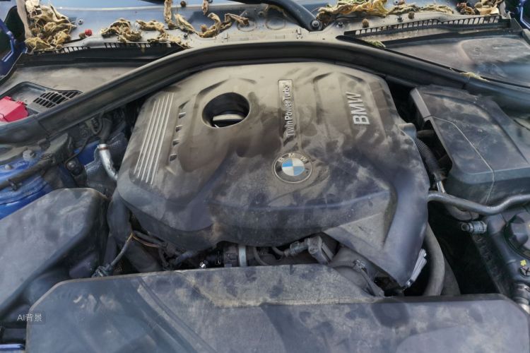 BMW 3 Series 2019 car image #22