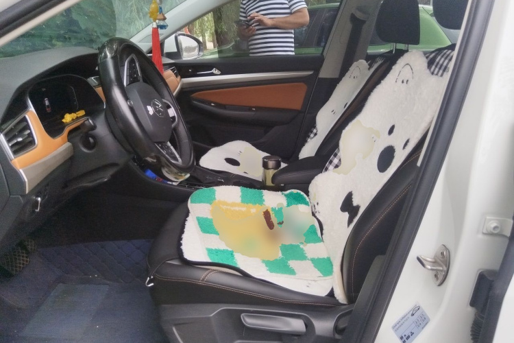 Volkswagen Bora 2023 car image #15