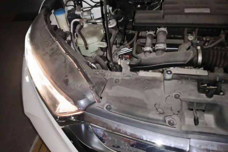 Honda CR-V 2019 #26 Honda CR-V 2019 car image #26
