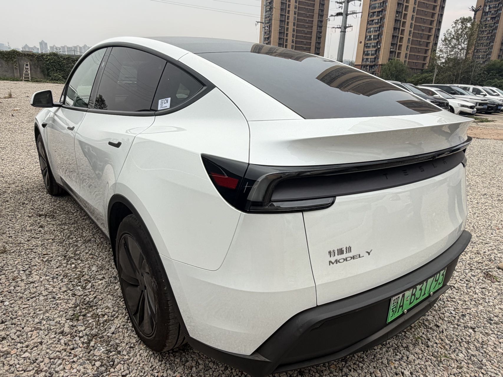 Tesla Model Y 2025 #10 Tesla Model Y 2025 صورة سيارة #10