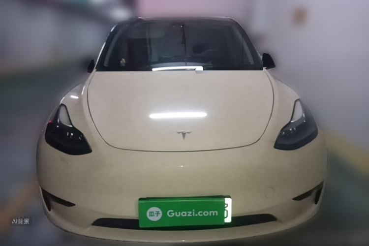 Tesla Model Y 2021 car image #3