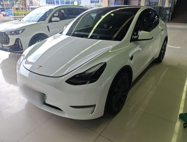 Tesla Model Y 2021 car image 