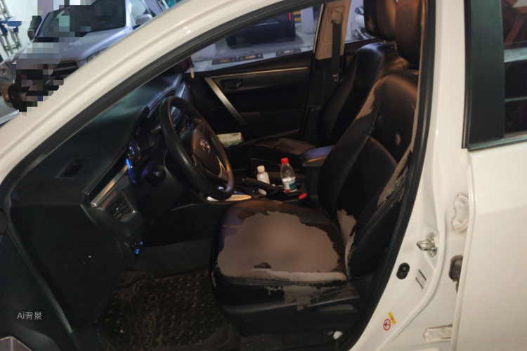 2016 #17 2016 car image #17