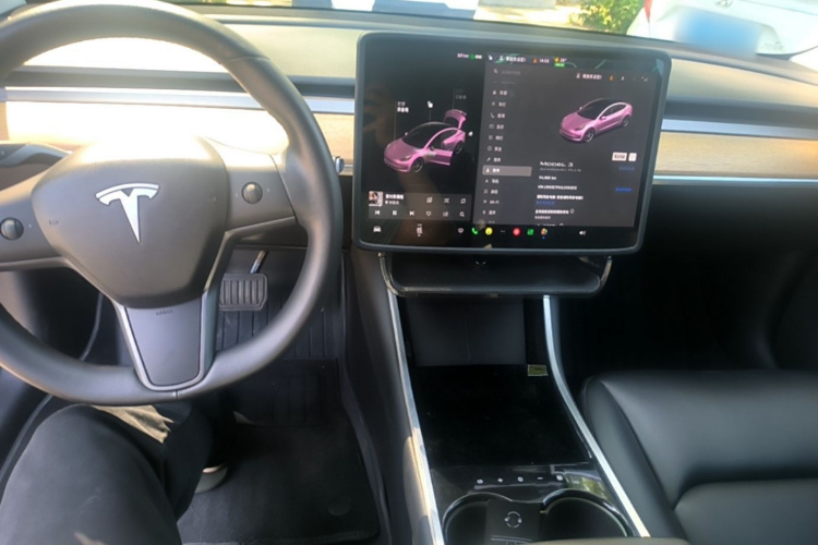 Tesla Model 3 2020 imagem de carro #10