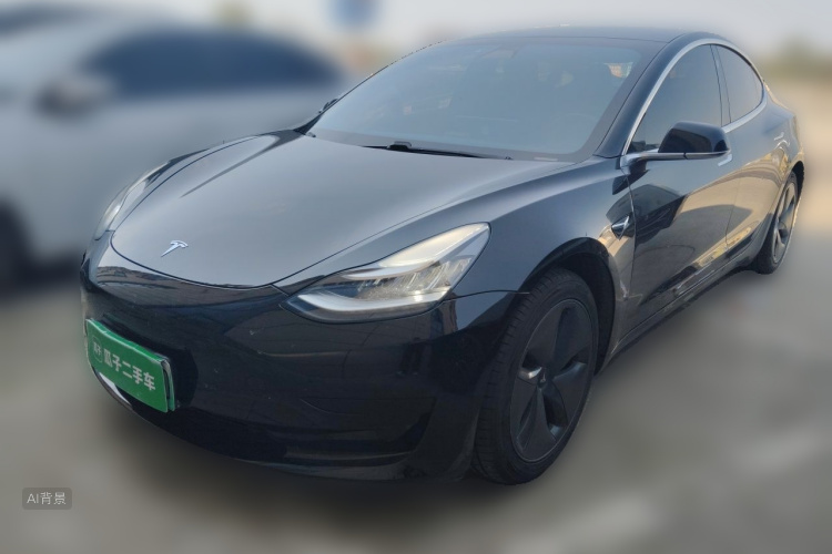 Tesla Model 3 2020 #2 Tesla Model 3 2020 car image #2