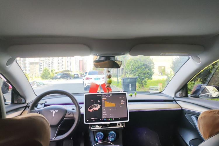 Tesla Model 3 2021 car image #16